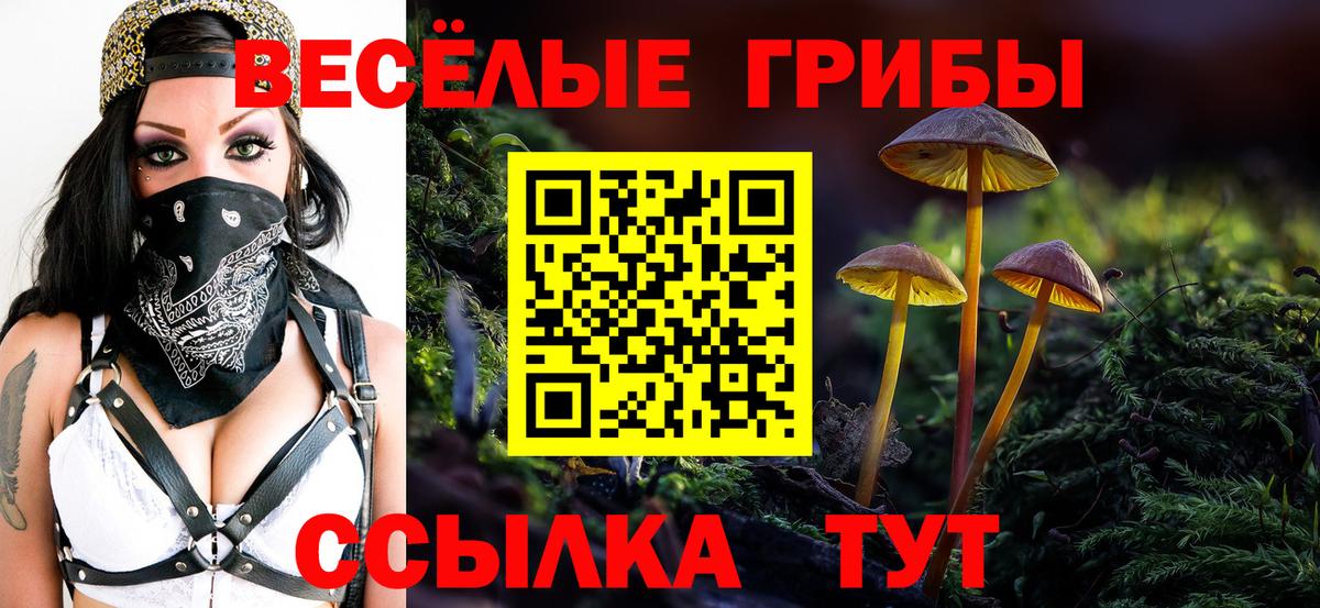 Галлюциногенные грибы MAGIC MUSHROOMS Борисоглебск
