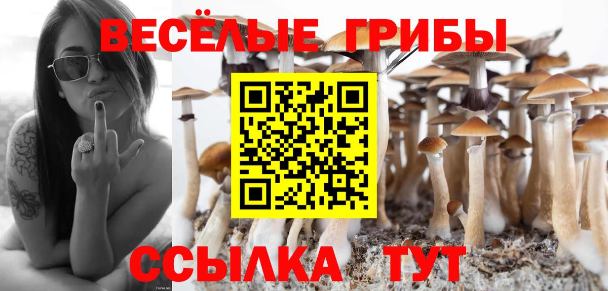 Галлюциногенные грибы прущие грибы  Вход с VPN  Борисоглебск 